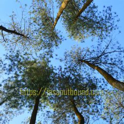 jasa outbound kendal